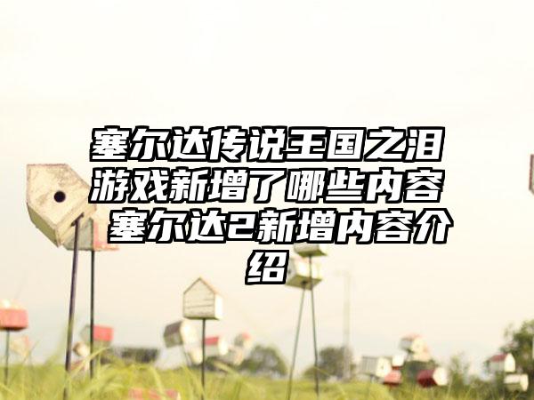 塞尔达传说王国之泪游戏新增了哪些内容 塞尔达2新增内容介绍