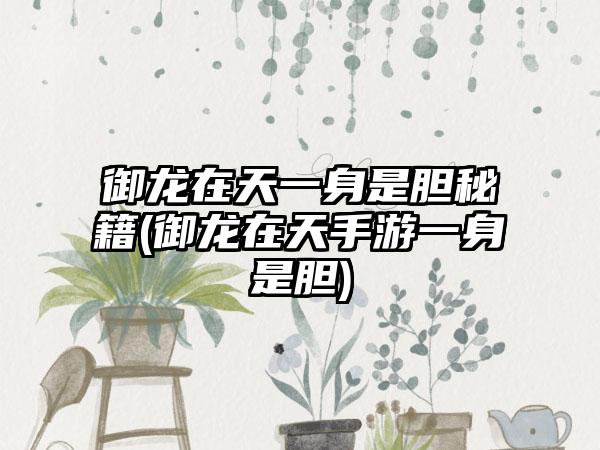 御龙在天一身是胆秘籍(御龙在天手游一身是胆)