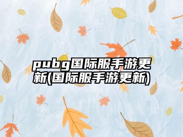 pubg国际服手游更新(国际服手游更新)