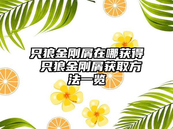 只狼金刚屑在哪获得 只狼金刚屑获取方法一览