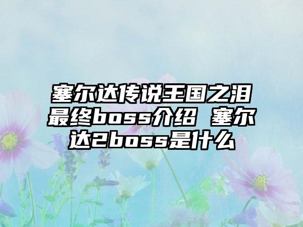 塞尔达传说王国之泪最终boss介绍 塞尔达2boss是什么