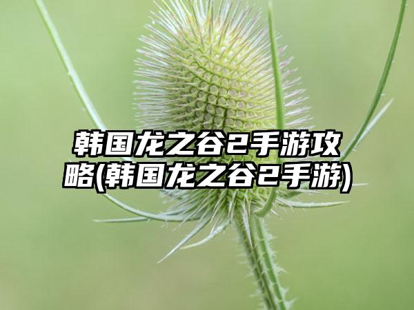 韩国龙之谷2手游攻略(韩国龙之谷2手游)
