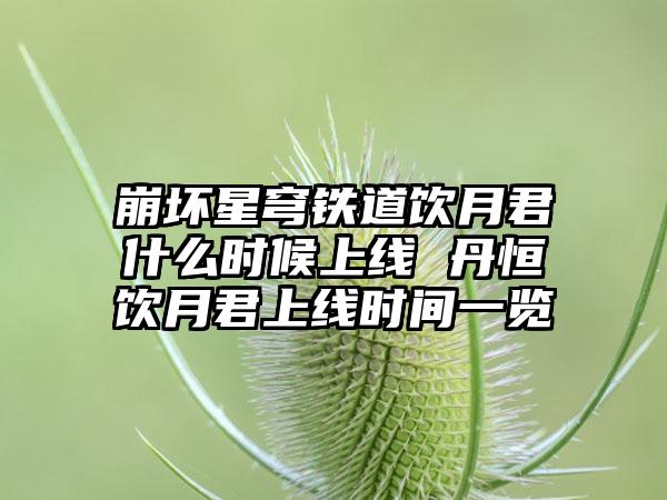 崩坏星穹铁道饮月君什么时候上线 丹恒饮月君上线时间一览