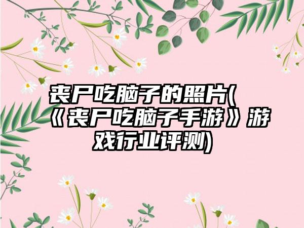 丧尸吃脑子的照片(《丧尸吃脑子手游》游戏行业评测)