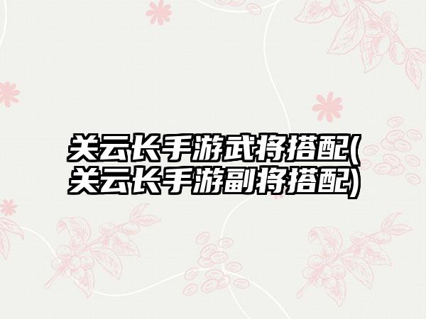 关云长手游武将搭配(关云长手游副将搭配)