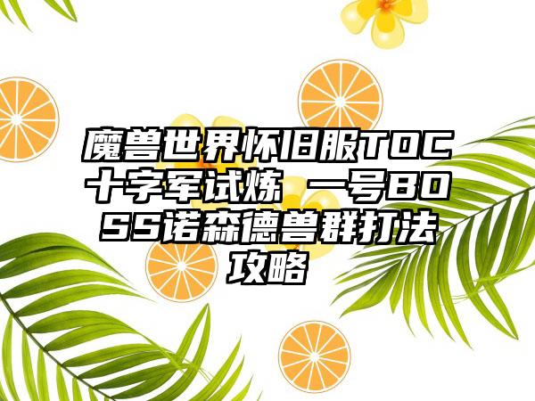 魔兽世界怀旧服TOC十字军试炼 一号BOSS诺森德兽群打法攻略