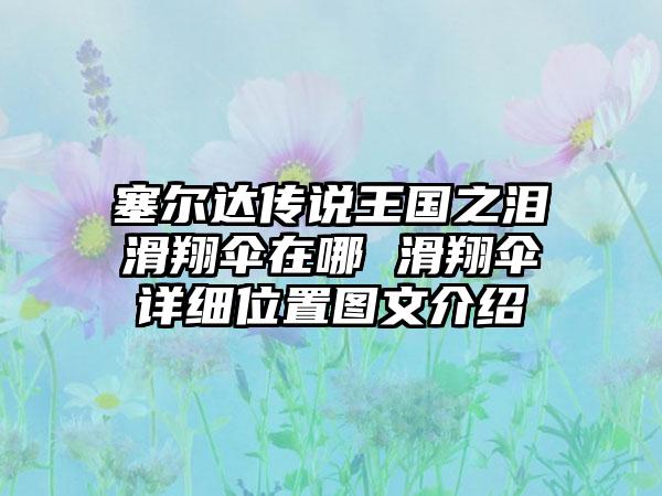 塞尔达传说王国之泪滑翔伞在哪 滑翔伞详细位置图文介绍