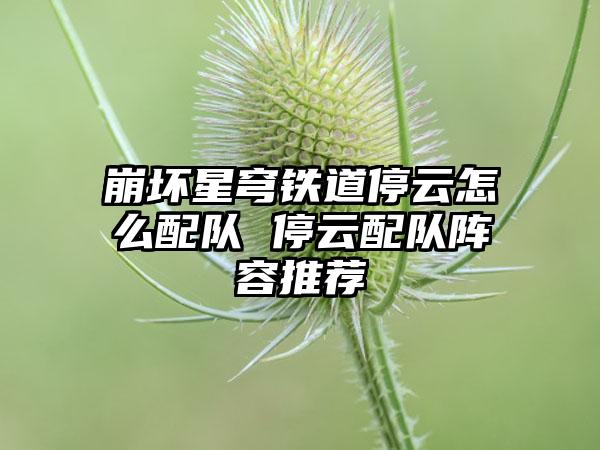 崩坏星穹铁道停云怎么配队 停云配队阵容推荐