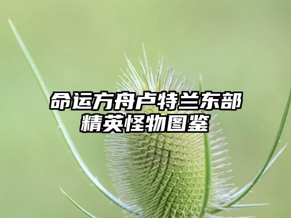 命运方舟卢特兰东部精英怪物图鉴