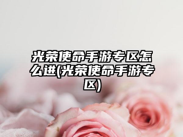 光荣使命手游专区怎么进(光荣使命手游专区)
