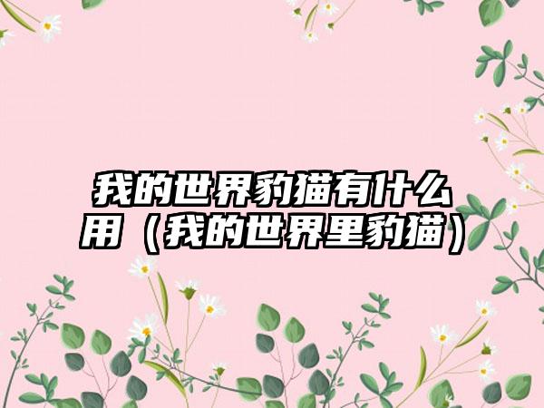 我的世界豹猫有什么用（我的世界里豹猫）