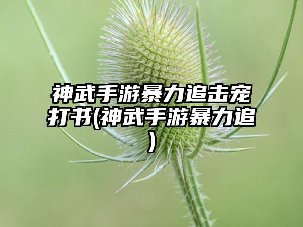 神武手游暴力追击宠打书(神武手游暴力追)