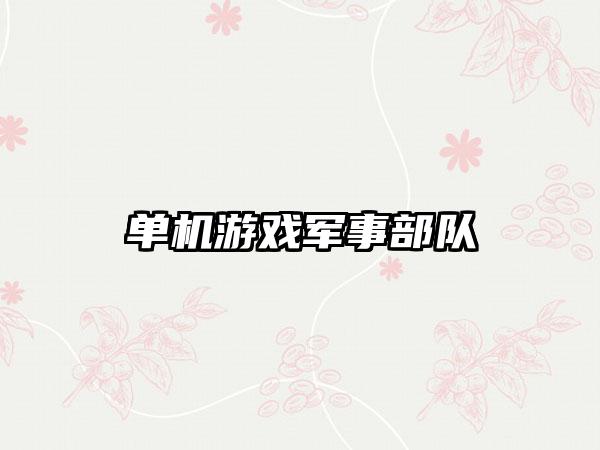 单机游戏军事部队