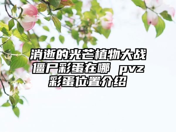 消逝的光芒植物大战僵尸彩蛋在哪 pvz彩蛋位置介绍