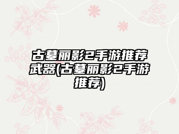 古墓丽影2手游推荐武器(古墓丽影2手游推荐)