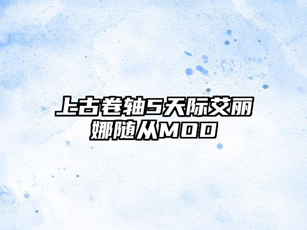 上古卷轴5天际艾丽娜随从MOD