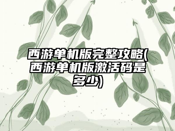 西游单机版完整攻略(西游单机版激活码是多少)