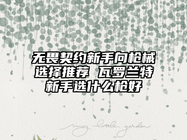 无畏契约新手向枪械选择推荐 瓦罗兰特新手选什么枪好