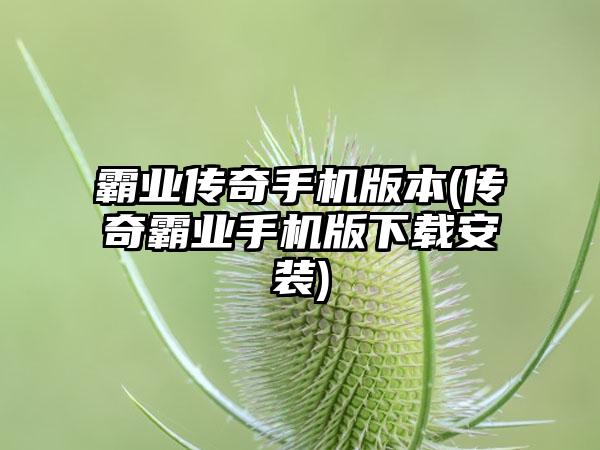 霸业传奇手机版本(传奇霸业手机版下载安装)