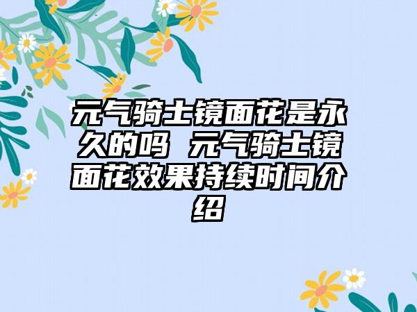元气骑士镜面花是永久的吗 元气骑士镜面花效果持续时间介绍