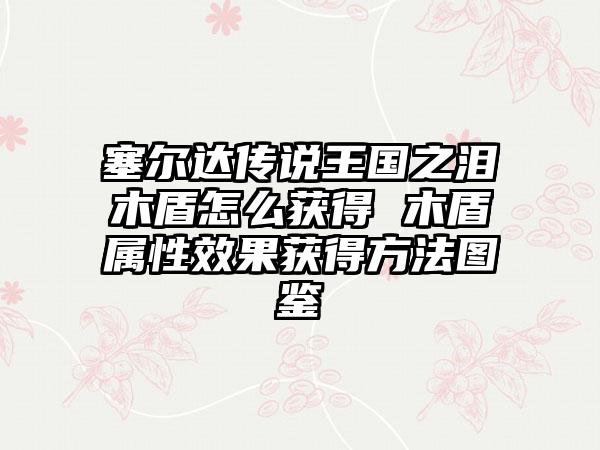 塞尔达传说王国之泪木盾怎么获得 木盾属性效果获得方法图鉴