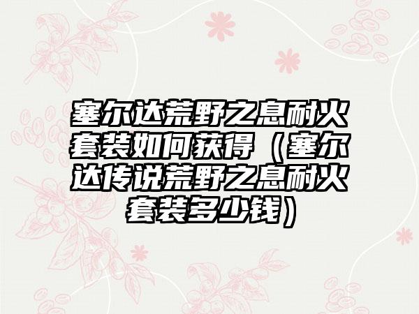 塞尔达荒野之息耐火套装如何获得（塞尔达传说荒野之息耐火套装多少钱）