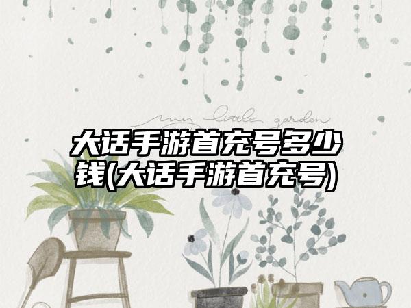 大话手游首充号多少钱(大话手游首充号)