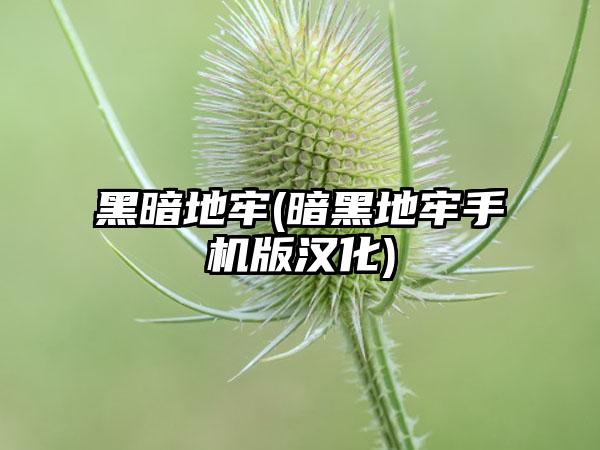 黑暗地牢(暗黑地牢手机版汉化)