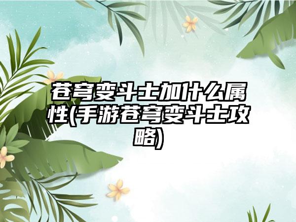 苍穹变斗士加什么属性(手游苍穹变斗士攻略)
