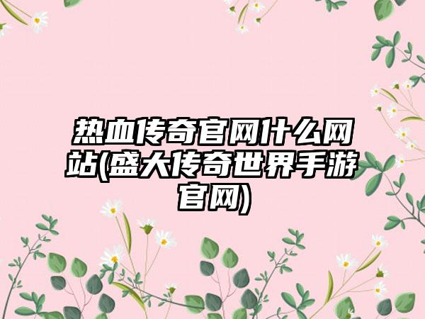 热血传奇官网什么网站(盛大传奇世界手游官网)