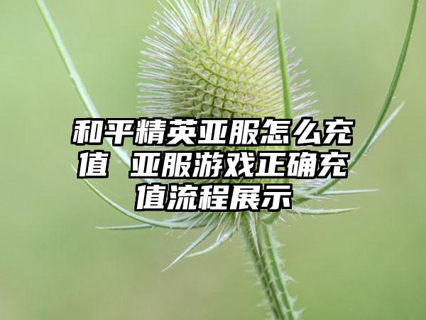和平精英亚服怎么充值 亚服游戏正确充值流程展示