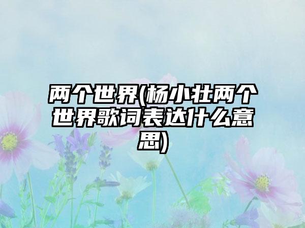 两个世界(杨小壮两个世界歌词表达什么意思)