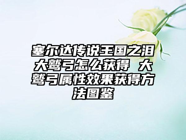 塞尔达传说王国之泪大鹫弓怎么获得 大鹫弓属性效果获得方法图鉴