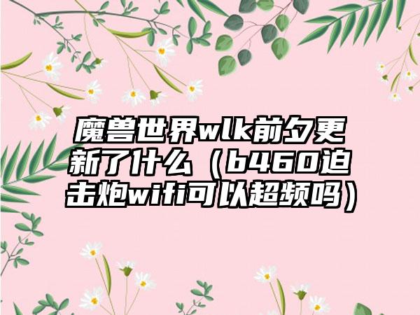 魔兽世界wlk前夕更新了什么（b460迫击炮wifi可以超频吗）