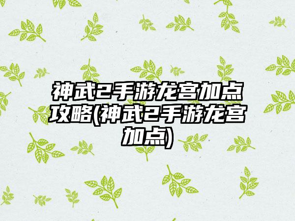 神武2手游龙宫加点攻略(神武2手游龙宫加点)