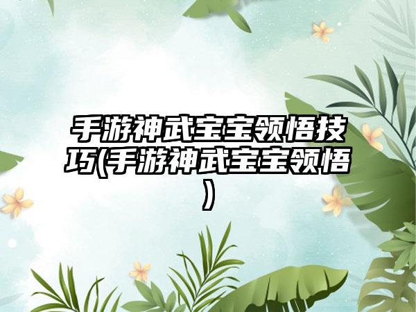 手游神武宝宝领悟技巧(手游神武宝宝领悟)