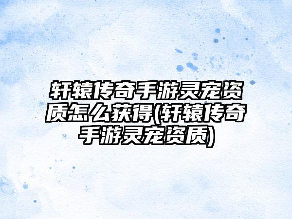 轩辕传奇手游灵宠资质怎么获得(轩辕传奇手游灵宠资质)