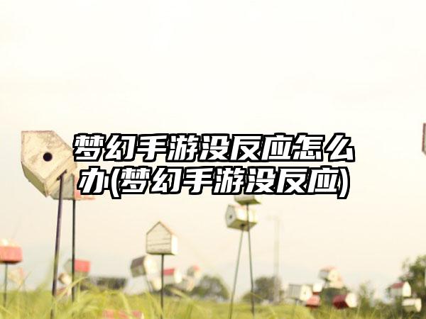 梦幻手游没反应怎么办(梦幻手游没反应)