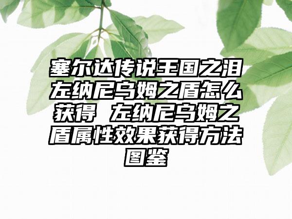 塞尔达传说王国之泪左纳尼乌姆之盾怎么获得 左纳尼乌姆之盾属性效果获得方法图鉴