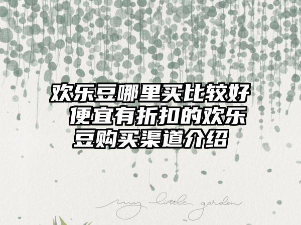 欢乐豆哪里买比较好 便宜有折扣的欢乐豆购买渠道介绍