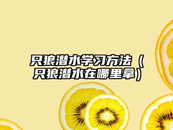 只狼潜水学习方法（只狼潜水在哪里拿）