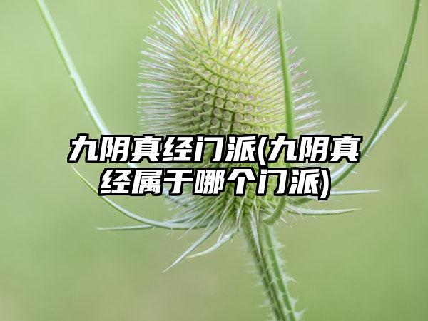 九阴真经门派(九阴真经属于哪个门派)