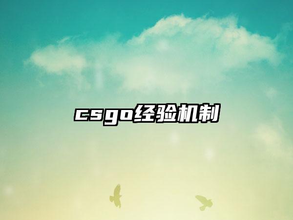 csgo经验机制