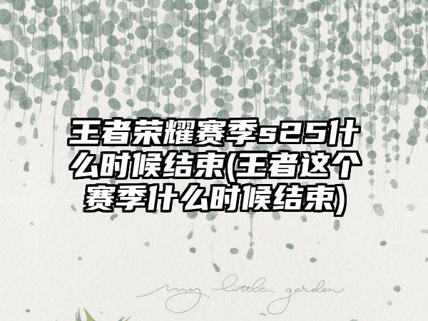 王者荣耀赛季s25什么时候结束(王者这个赛季什么时候结束)