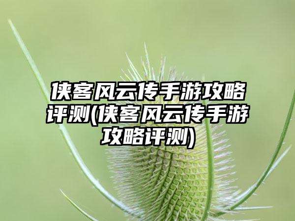 侠客风云传手游攻略评测(侠客风云传手游攻略评测)