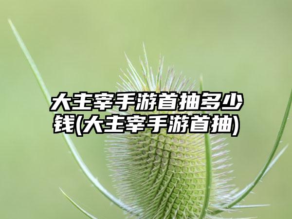 大主宰手游首抽多少钱(大主宰手游首抽)