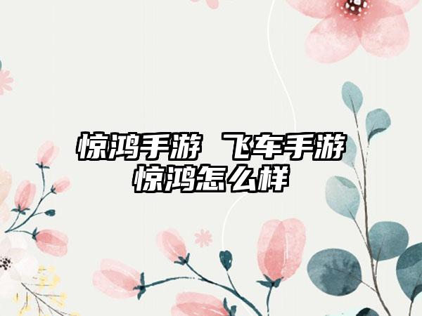 惊鸿手游 飞车手游惊鸿怎么样