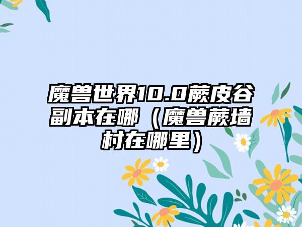 魔兽世界10.0蕨皮谷副本在哪（魔兽蕨墙村在哪里）