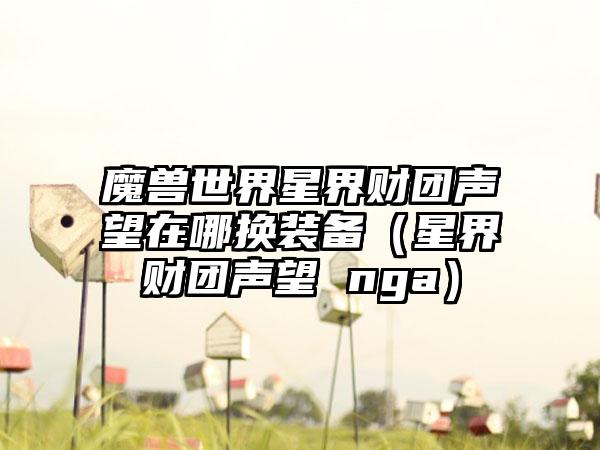 魔兽世界星界财团声望在哪换装备（星界财团声望 nga）