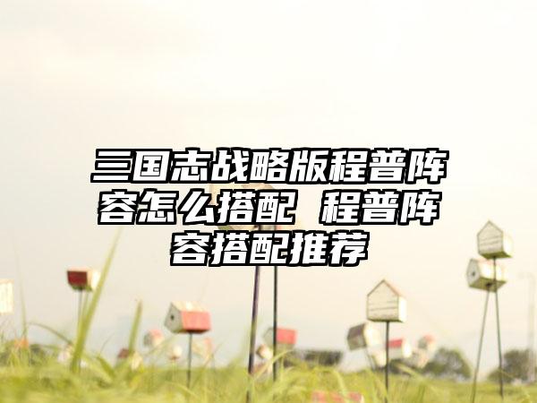 三国志战略版程普阵容怎么搭配 程普阵容搭配推荐